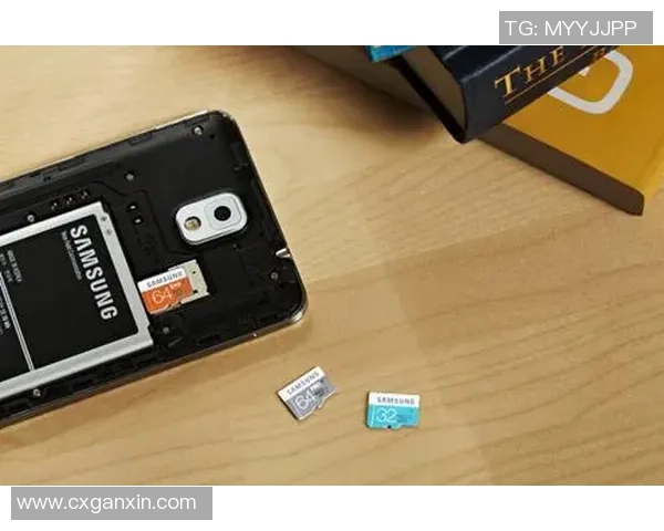 畅享达足球下载体验，轻松获取最新赛事动态与精彩回放